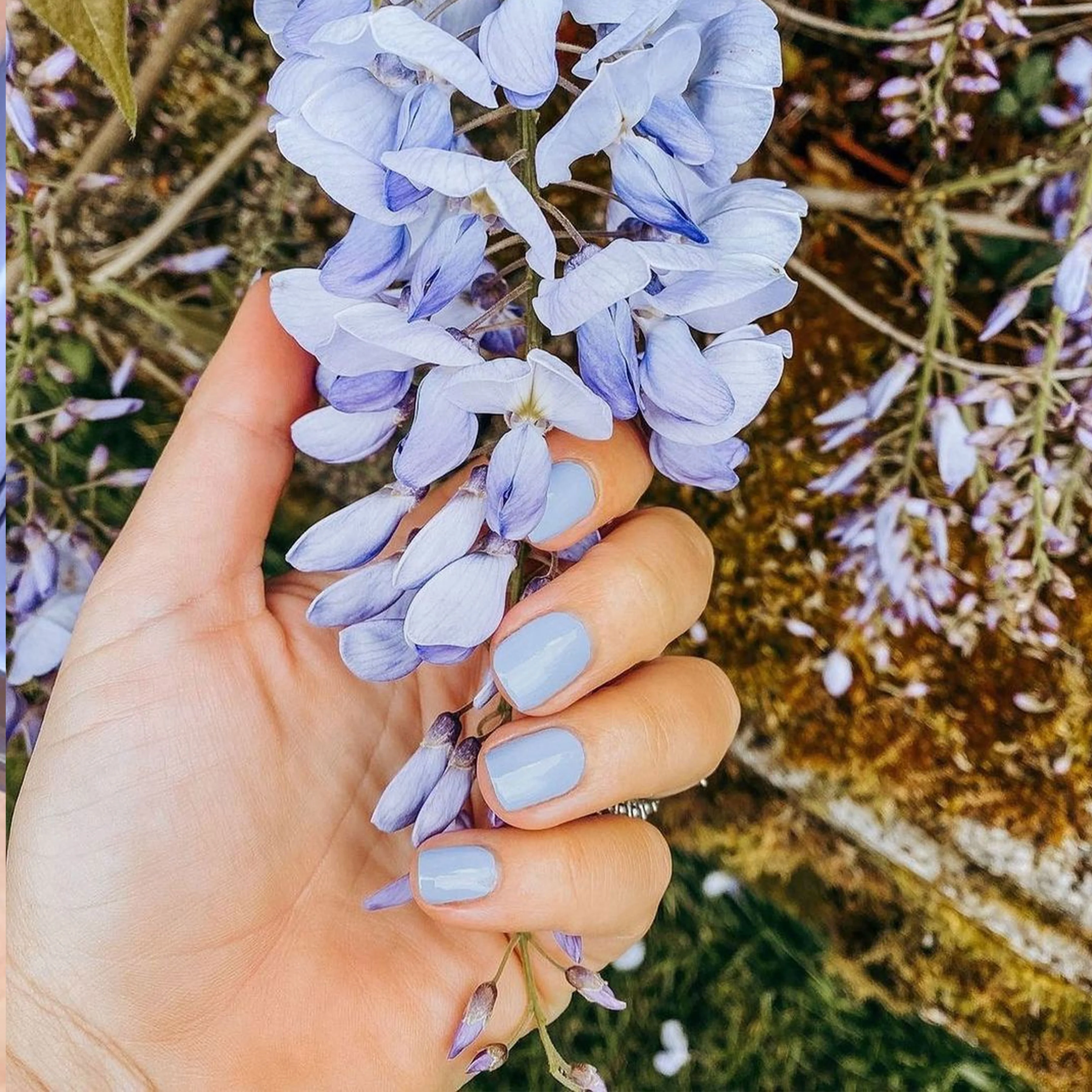 Lavender Macaron Polish - Image 2
