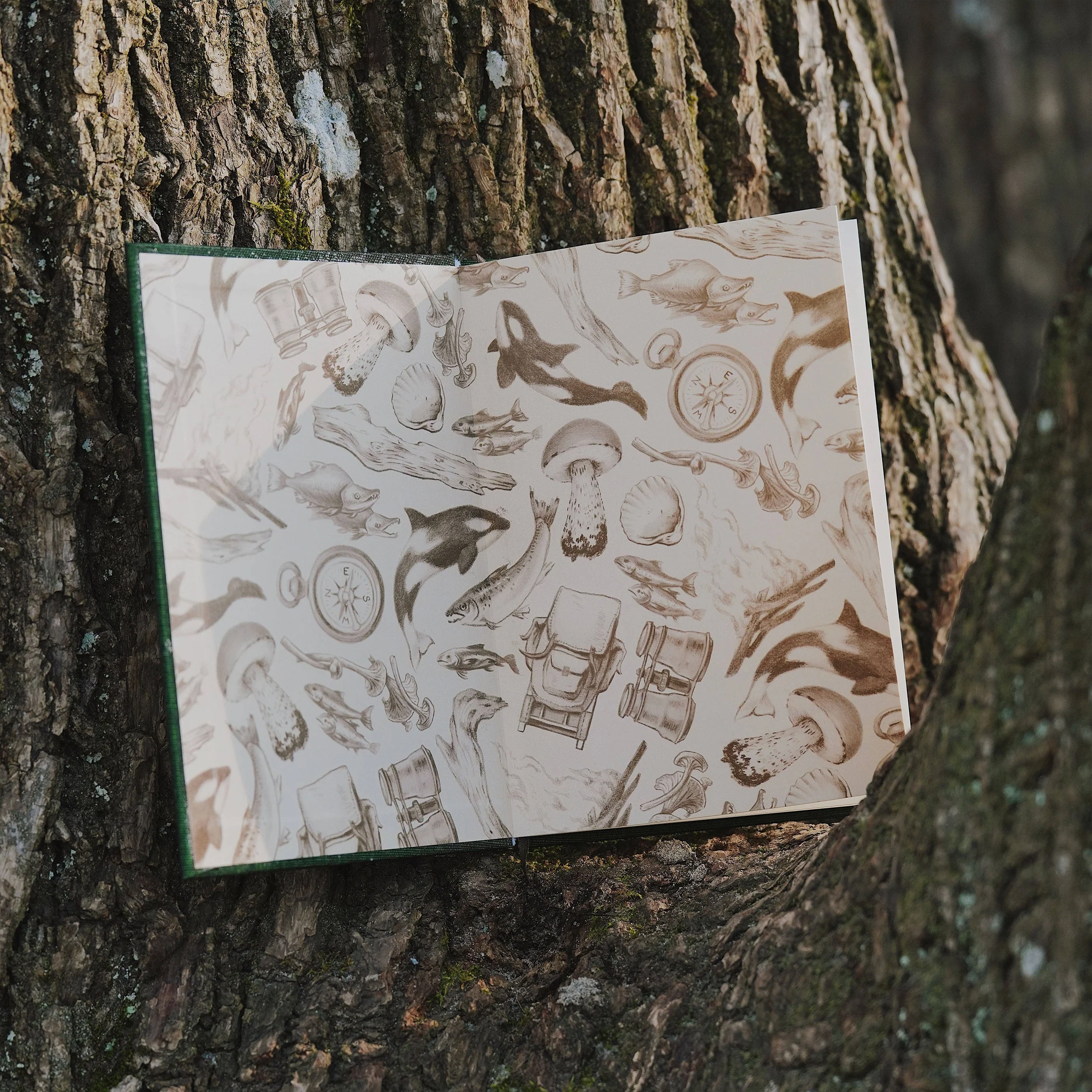 PNW: Card Games Inspired By the Pacific Northwest - Image 3