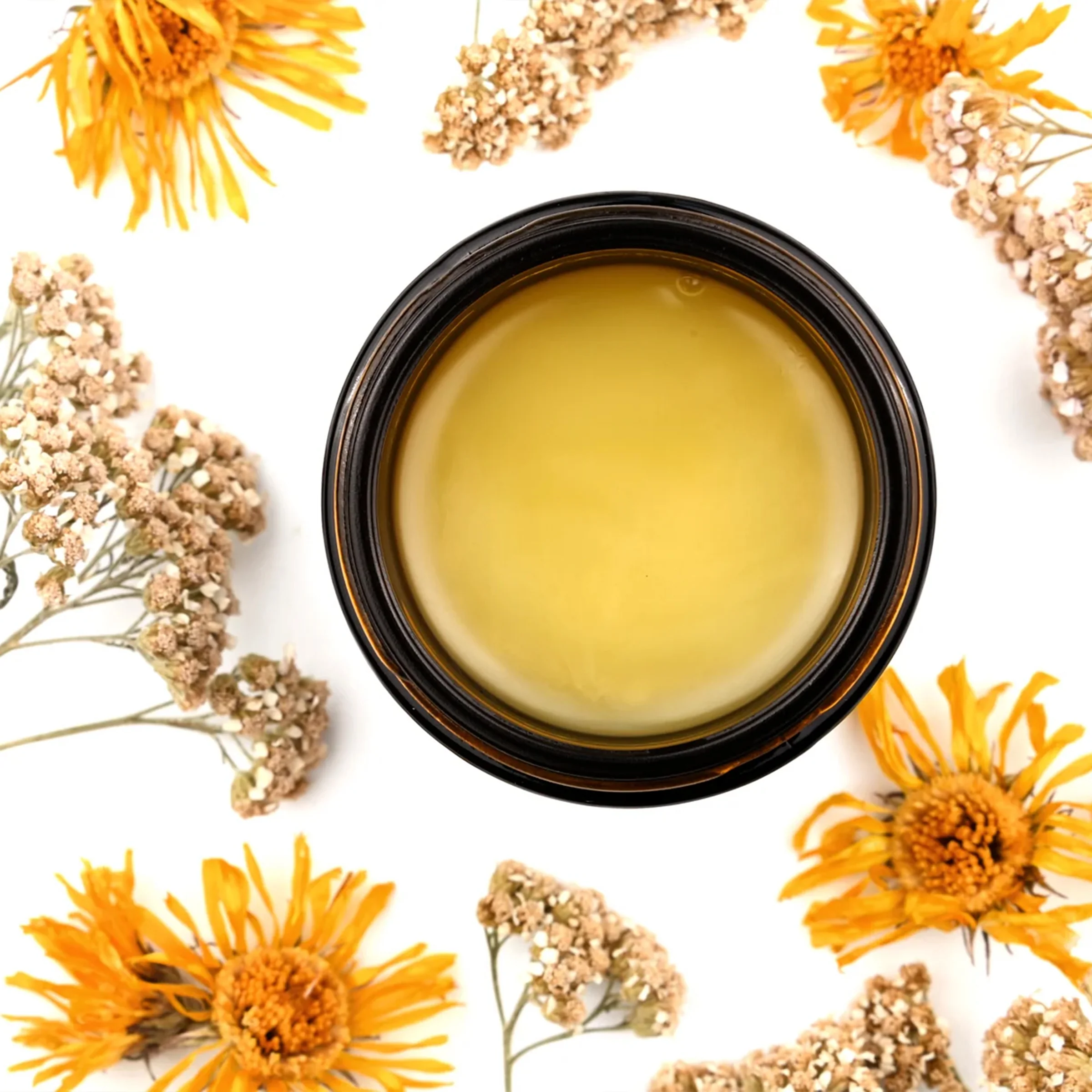 Renewal Healing Salve - Image 2