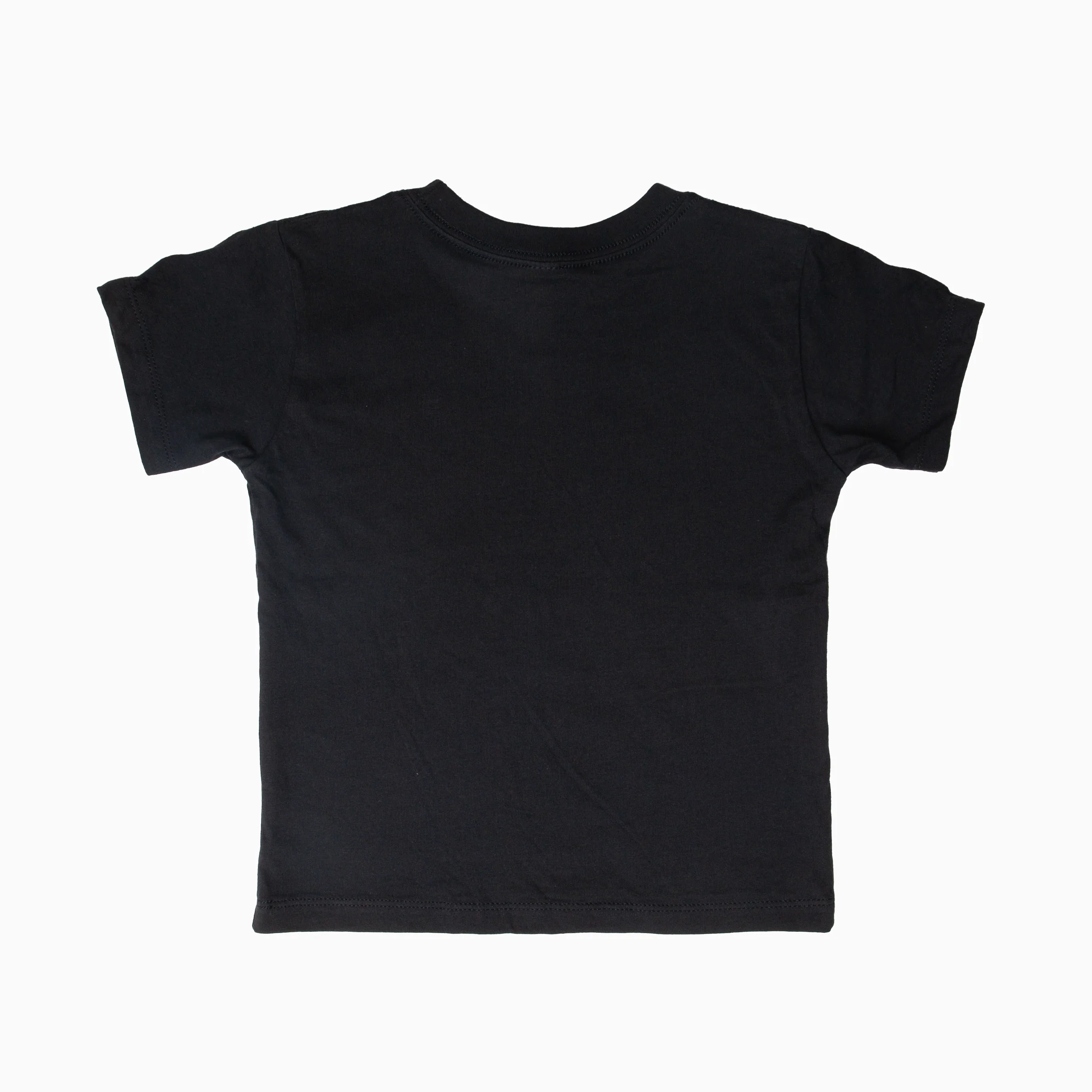 WA State Symbols Kids Tee - Image 3