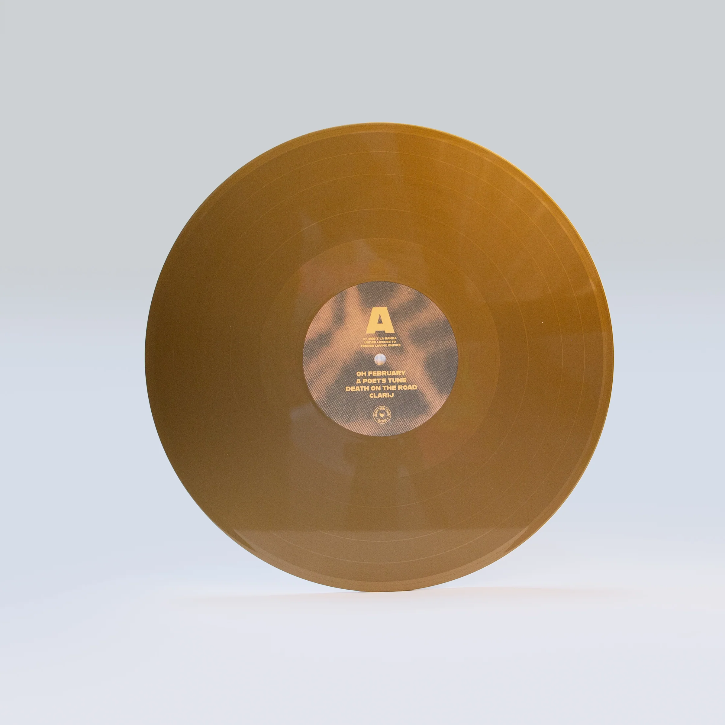 Y La Bamba - Oh February - Image 3